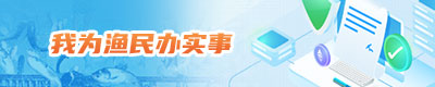 banner2.jpg